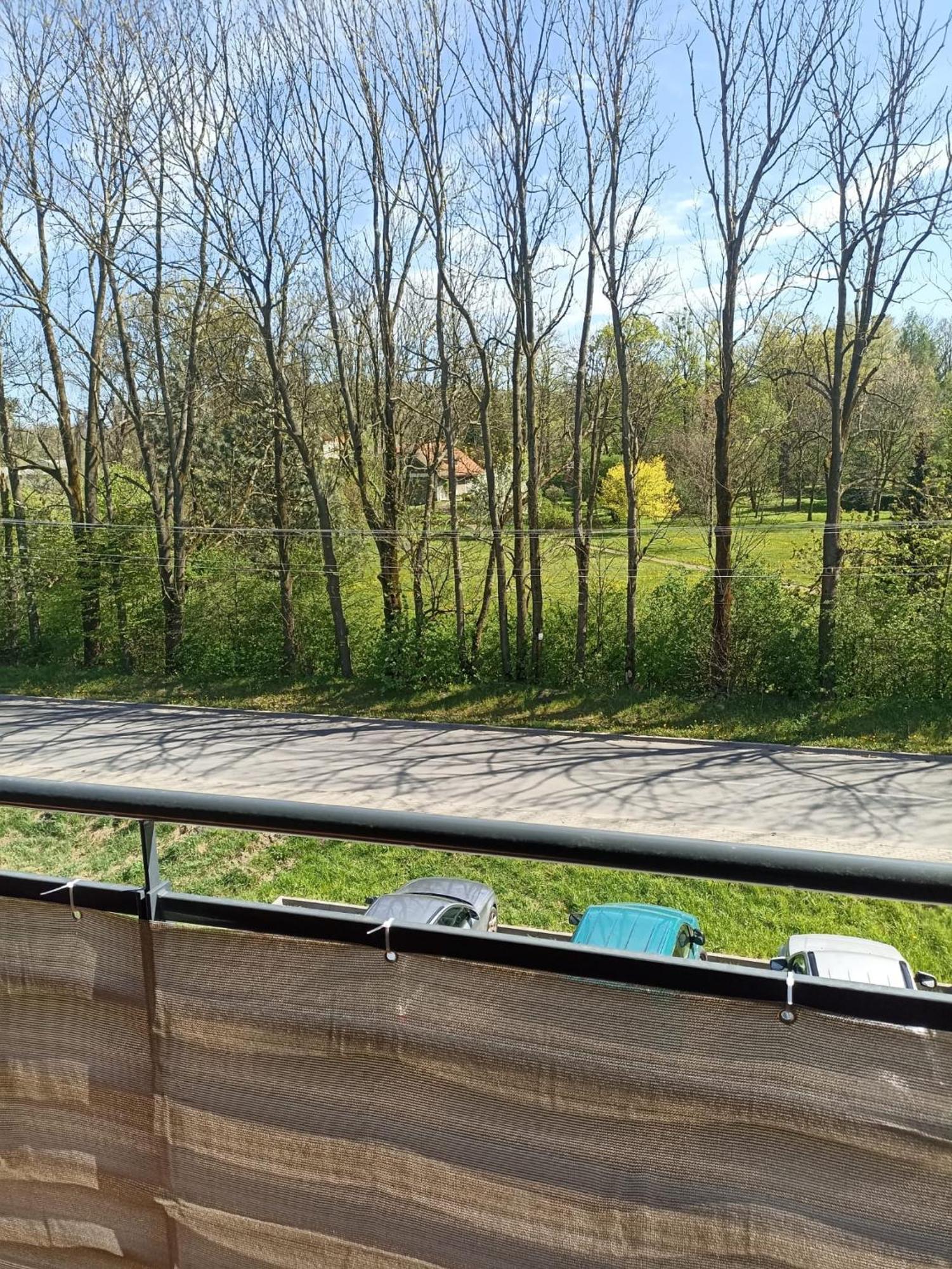 Apartament Aleja Lipowa Gorki Wielkie Экстерьер фото